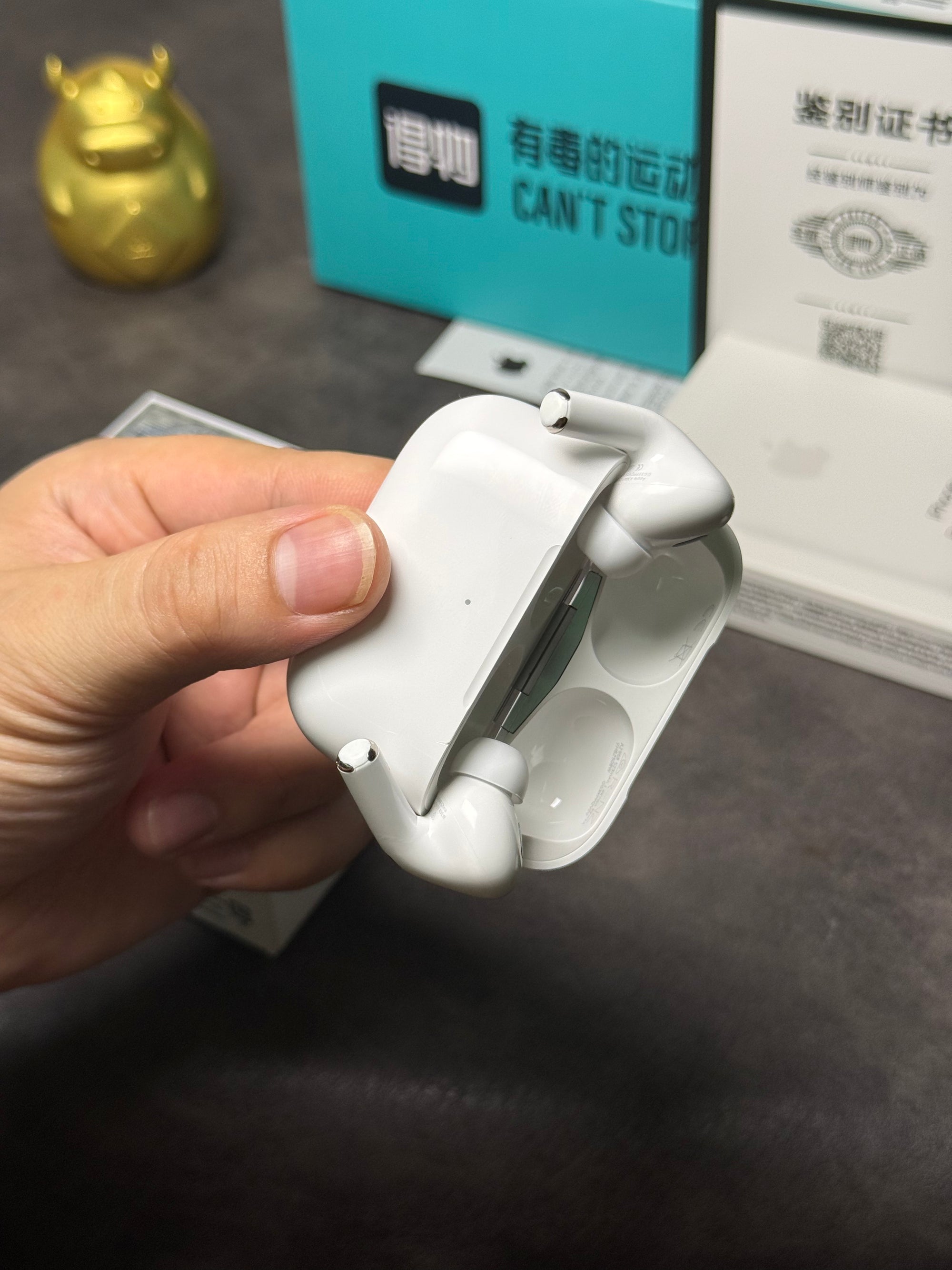 Apple AirPods Pro 2  (5ª Geração)