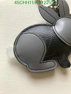Louis Vuitton Hot Sale Keychain LV
