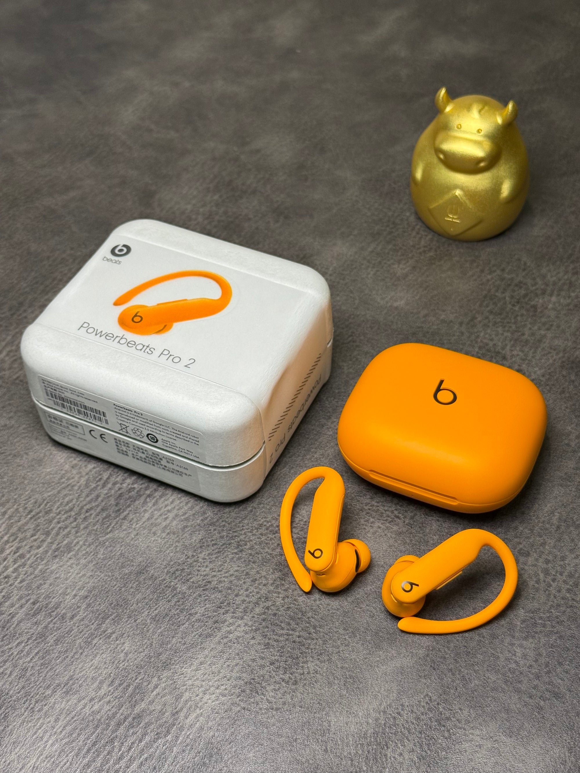 Beats Powerbeats Pro 2