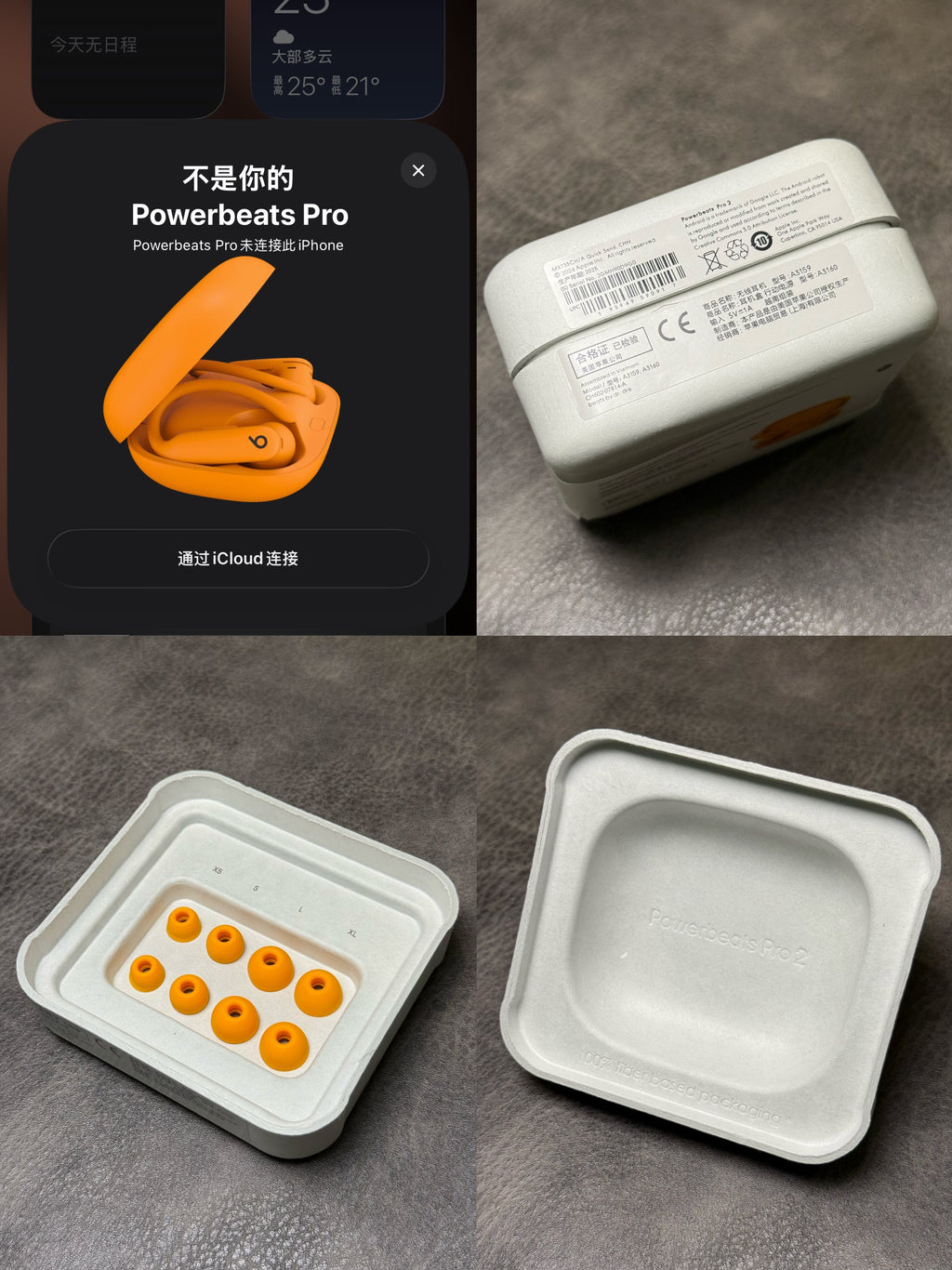 Beats Powerbeats Pro 2