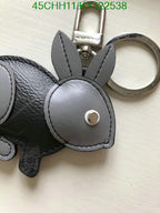Louis Vuitton Hot Sale Keychain LV