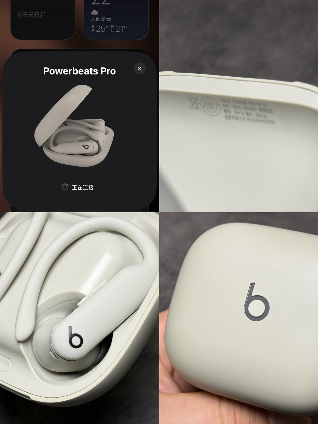 Beats Powerbeats Pro 2