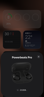 Beats Powerbeats Pro 2