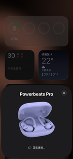 Beats Powerbeats Pro 2