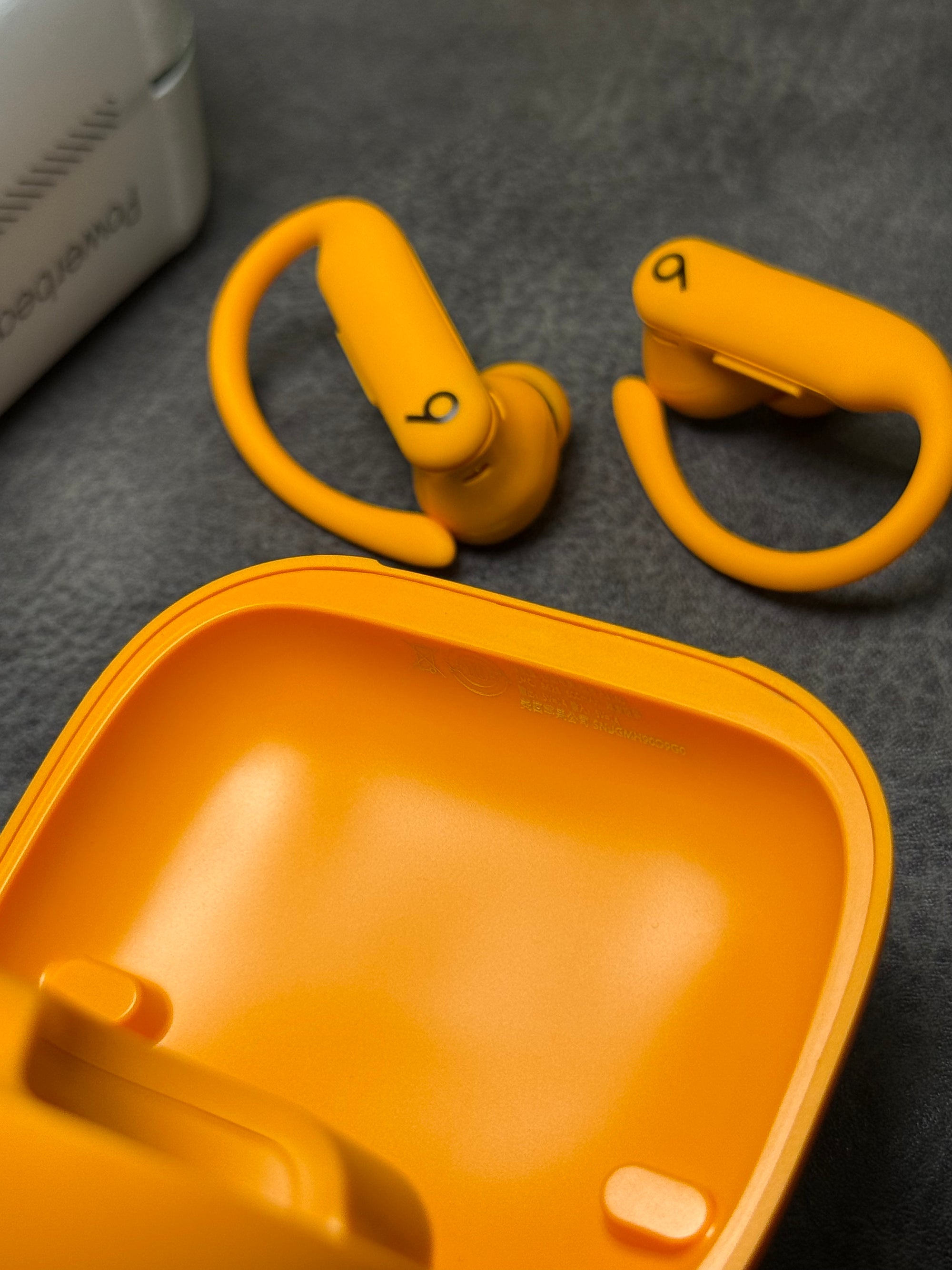 Beats Powerbeats Pro 2