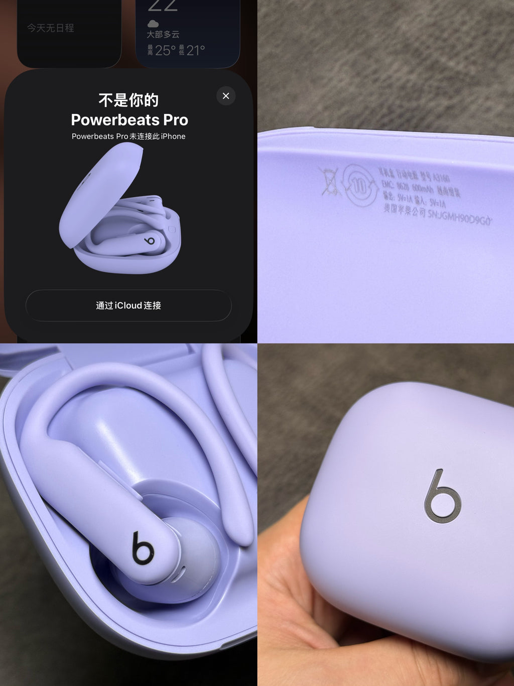 Beats Powerbeats Pro 2